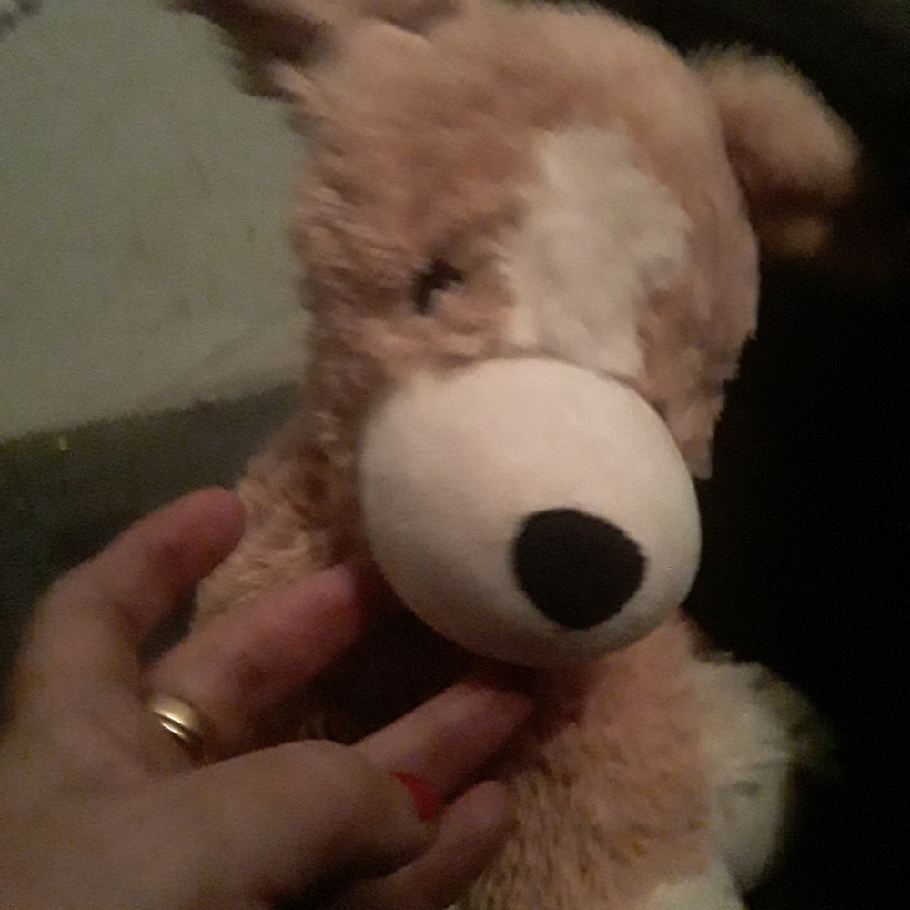 Puppy Tralistic Warm and Cozy Heat Therapy dog